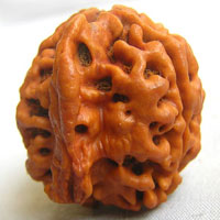 ganesh rudraksha  beads hyderabad